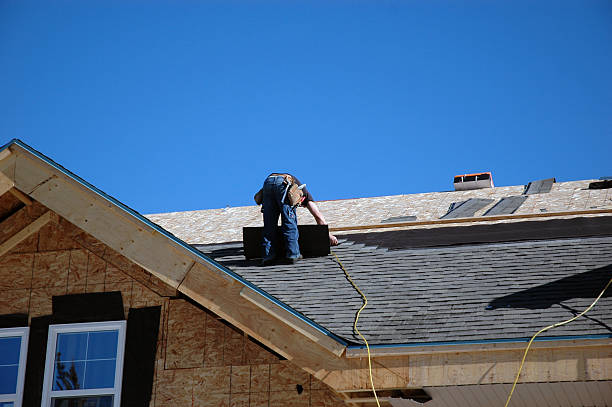 Best Roof Gutter Cleaning  in Childersburg, AL